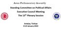 The 13th APA Plenary Session